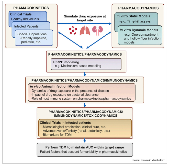 Fig.1 MIDO is a drug development method based on PK and PD. 